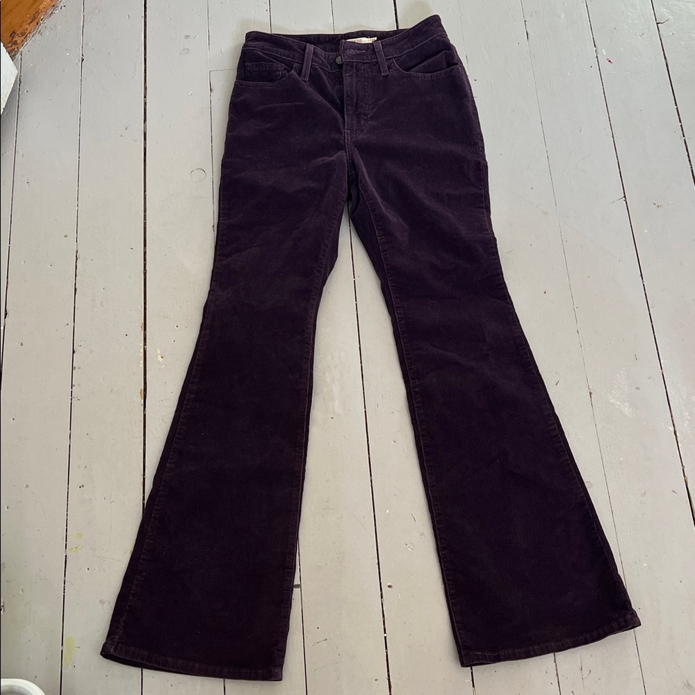 Levi's Women's flare cords in Dark Purple